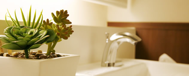 �s�D����