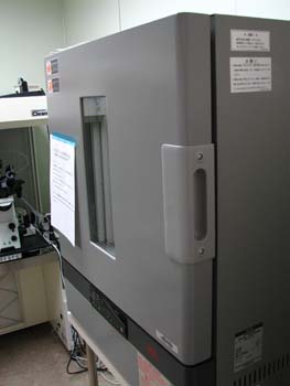 �s�D�O���E���ɕ���