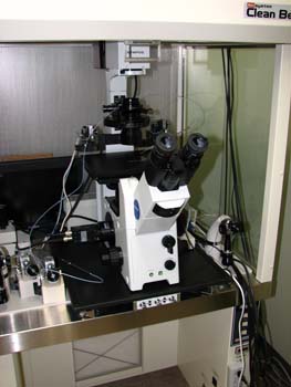 �s�D�O���E���ɕ���