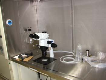 �s�D�O���E���ɕ���