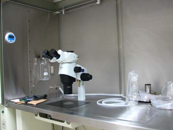 �s�D�O���E���ɕ���