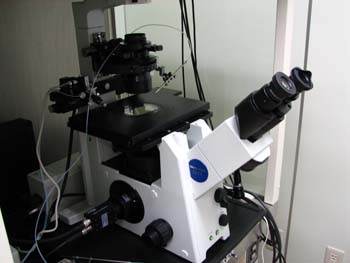 �s�D�O���E���ɕ���