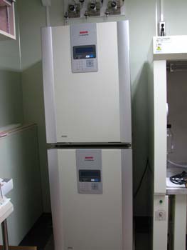 �s�D�O���E���ɕ���