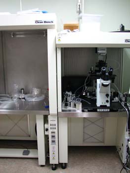 �s�D�O���E���ɕ���