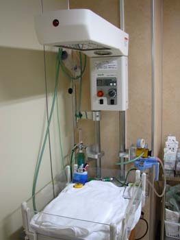 �s�D�O���E���ɕ���