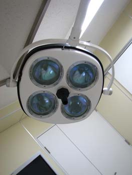 �s�D�O���E���ɕ���