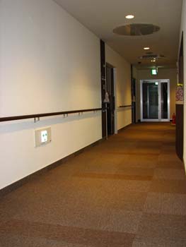 �s�D�O���E���ɕ���