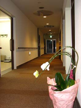 �s�D�O���E���ɕ���