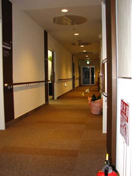 �s�D�O���E���ɕ���