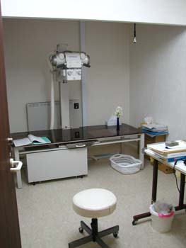 �s�D�O���E���ɕ���