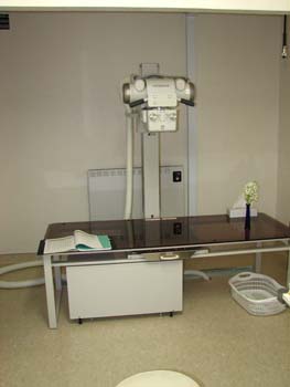 �s�D�O���E���ɕ���